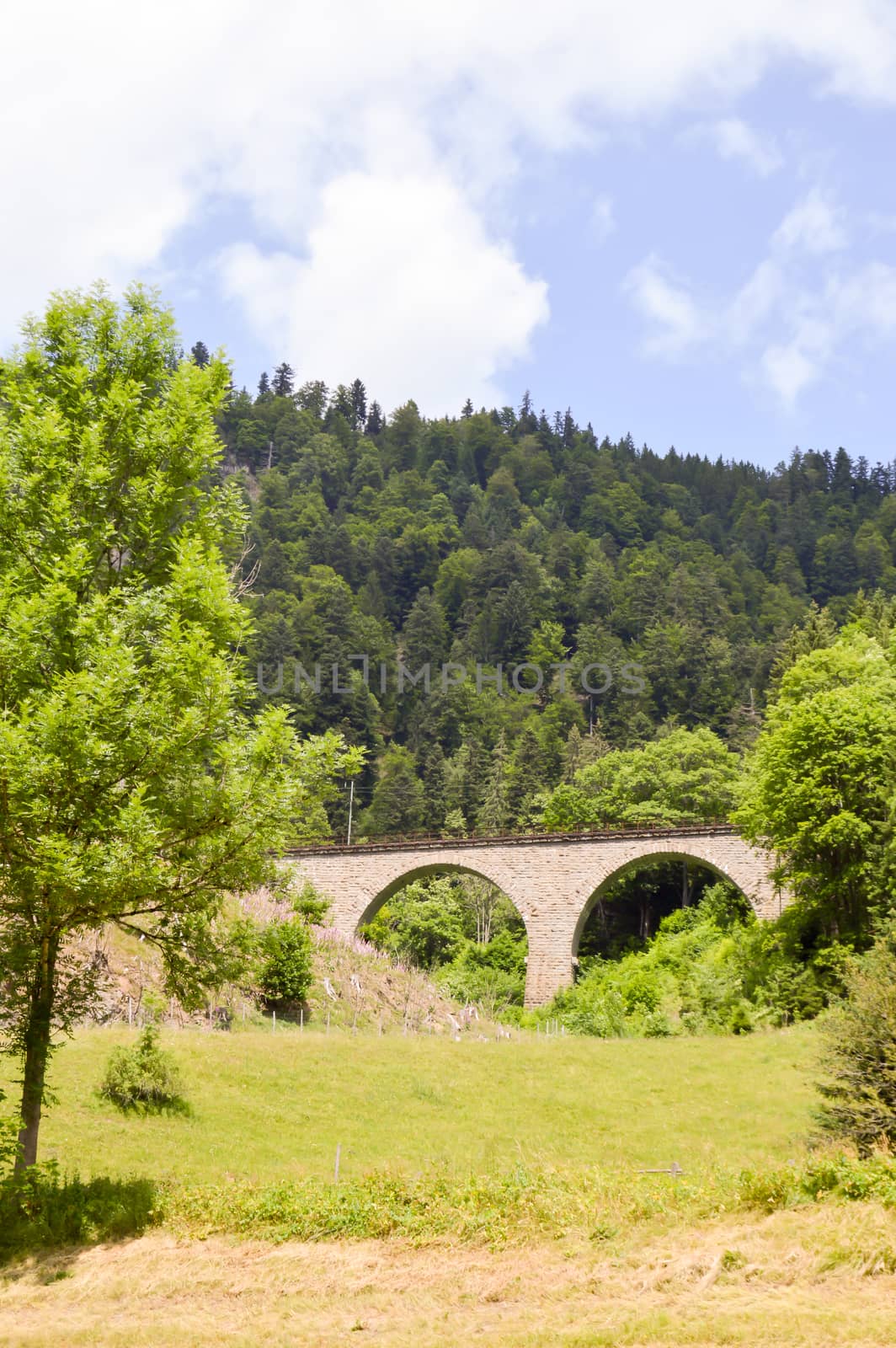 Railway bridge in stone with arches  by Philou1000