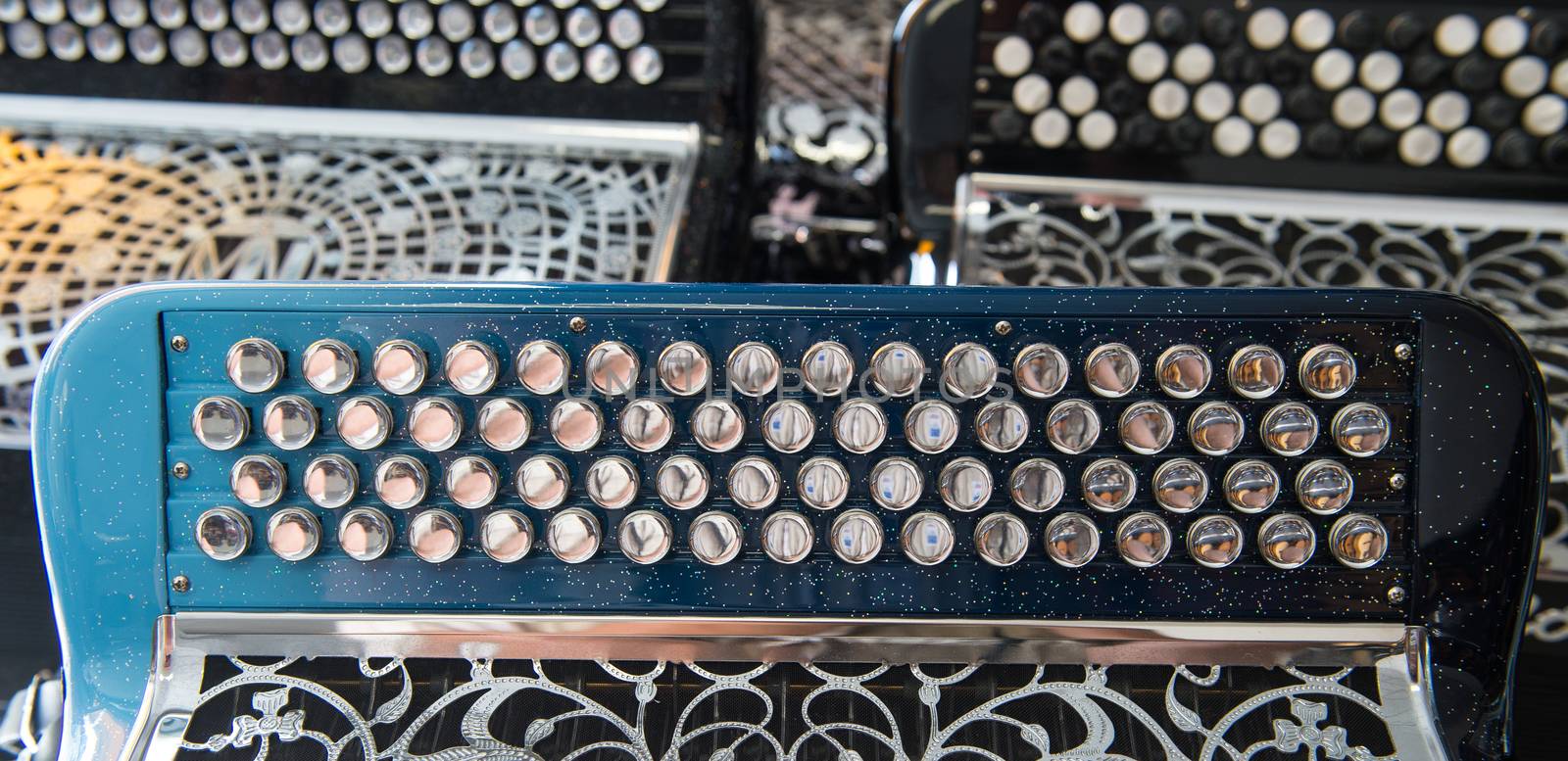 Musical instrument accordion in a shop, France