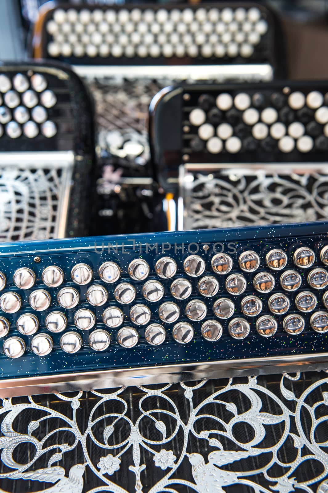 Musical instrument accordion in a shop, France