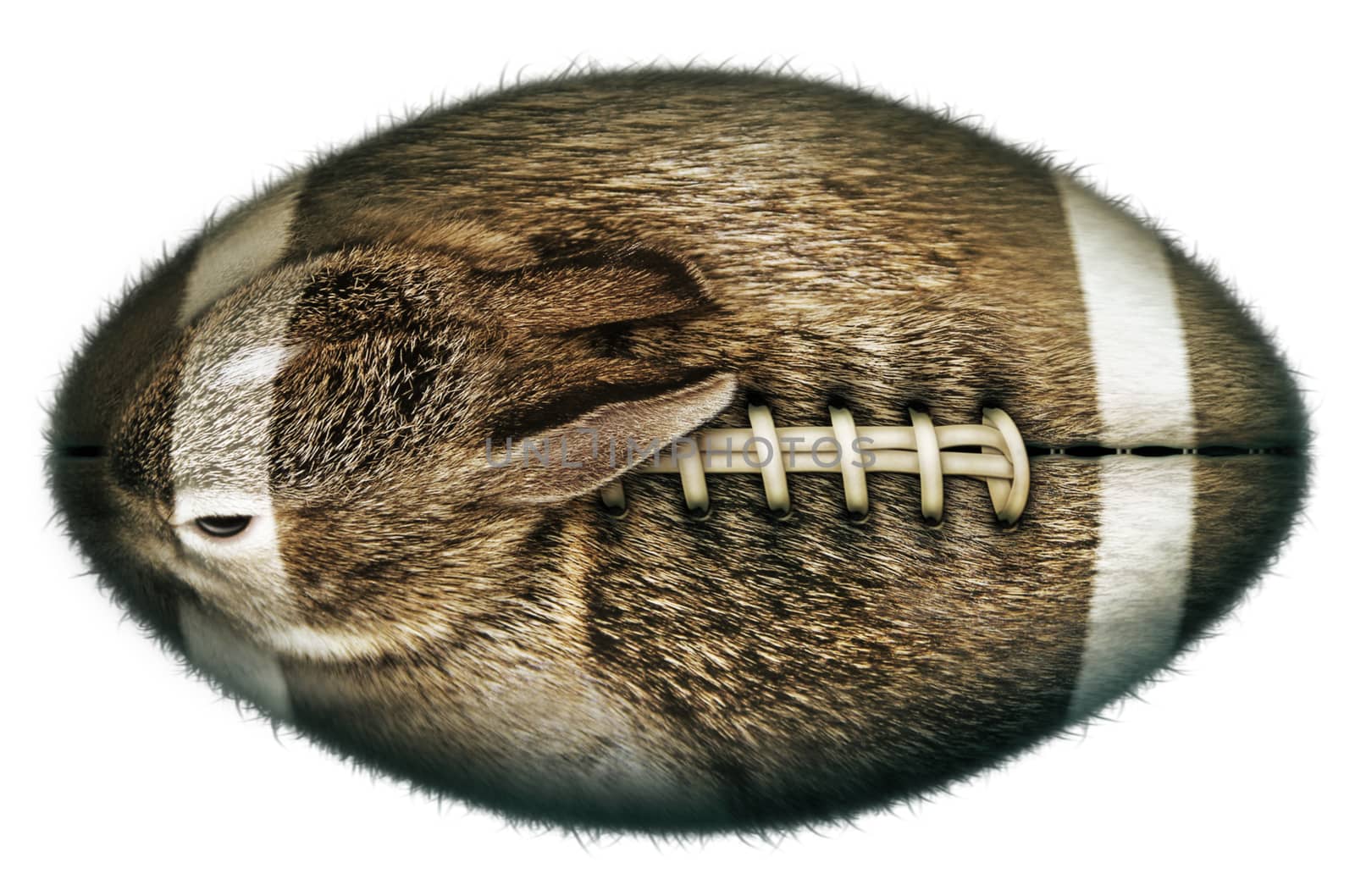 Digital illustration of a football-shaped rabbit.