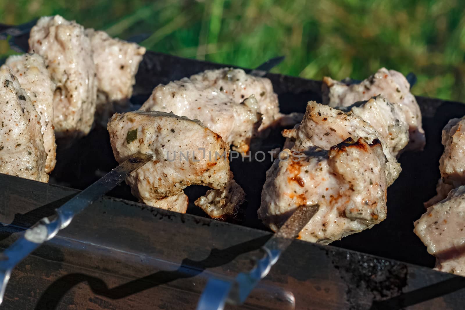 Barbecue grill meat by sengnsp