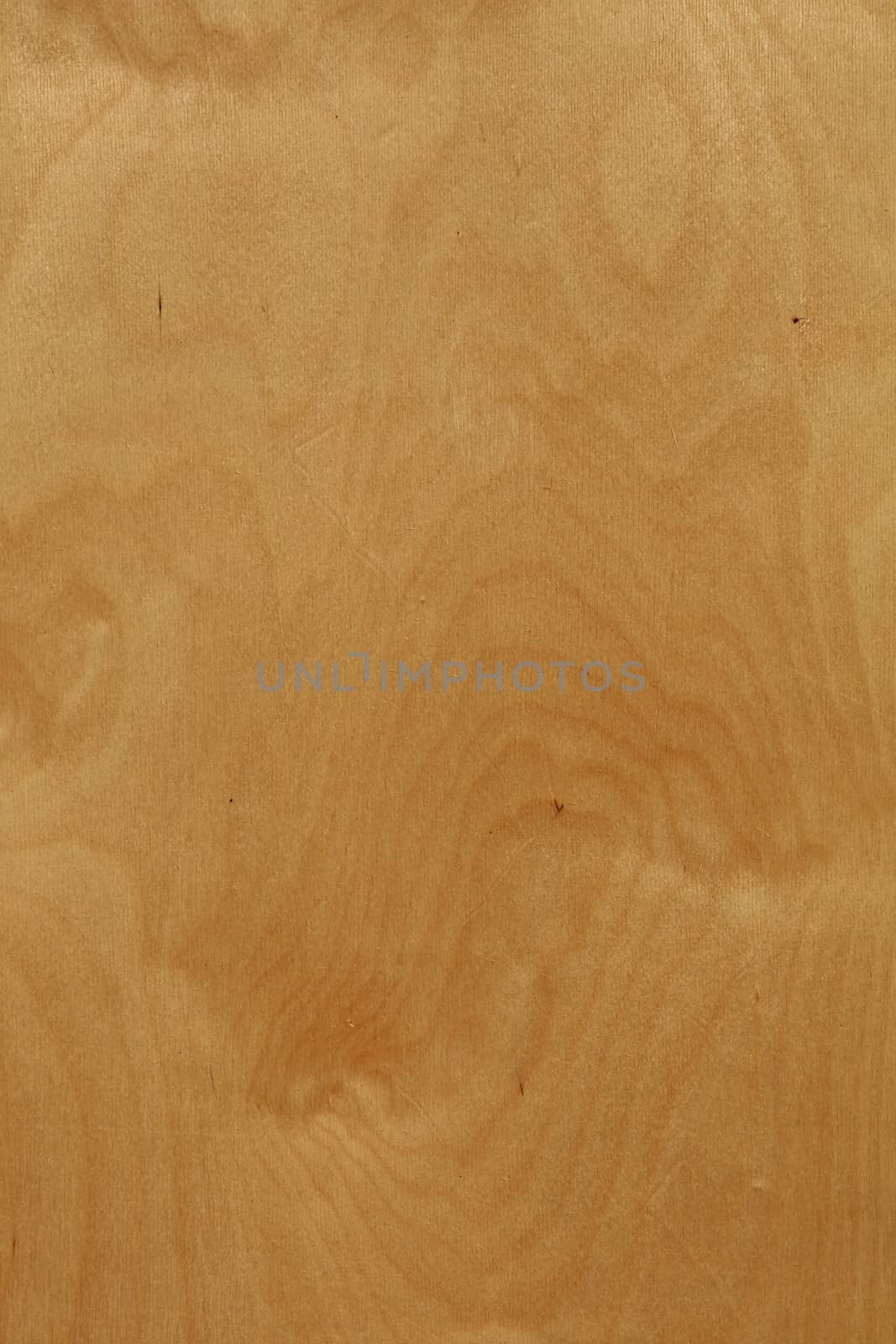 Rough unpainted beige plywood wood grain background texture close up