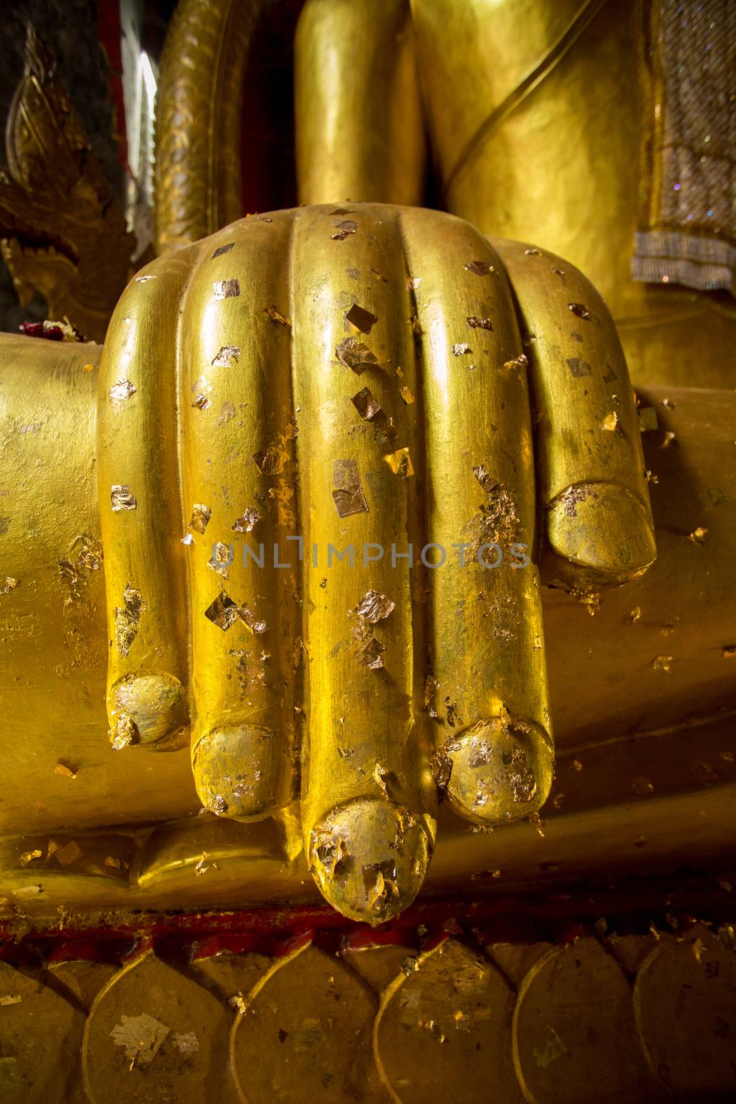 buddha hand by antpkr