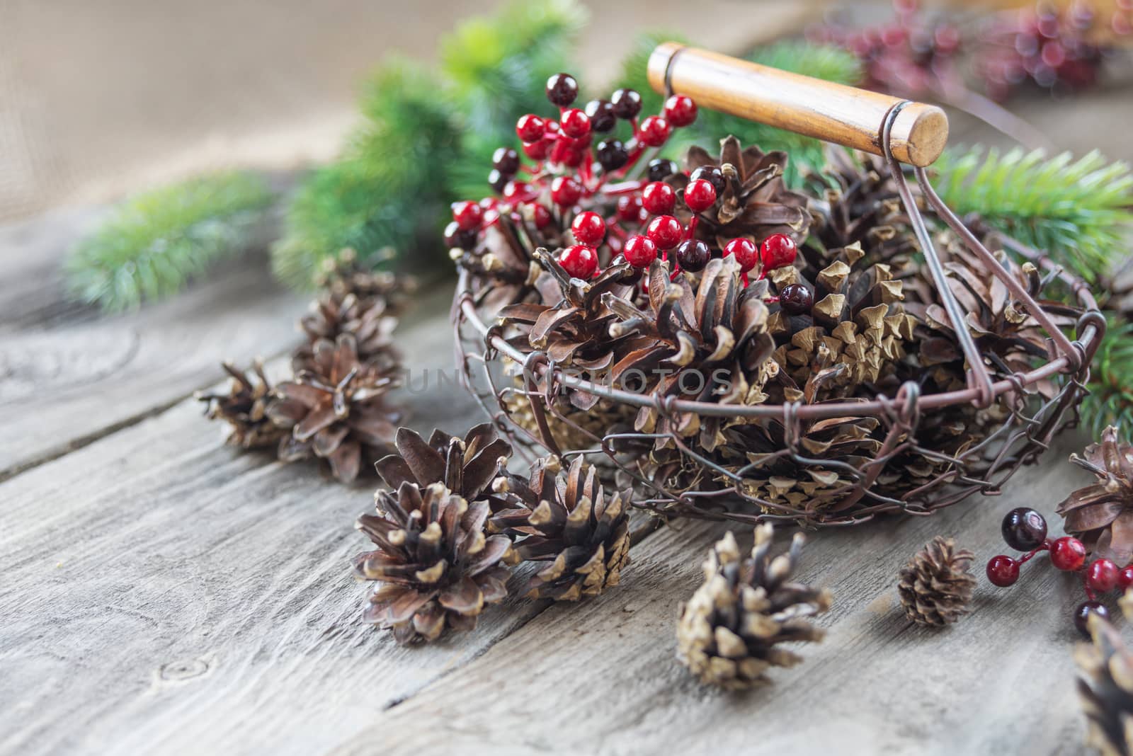 Christmas concept: full basket of pine cones and red holly berries and spruce branches on the background of old unpainted wooden boards