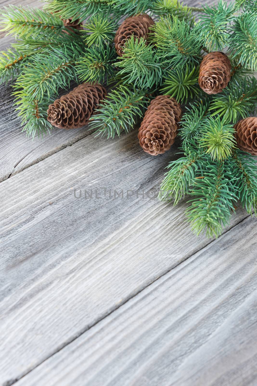 Christmas frame composed of pine cones and spruce branches on the background of old unpainted wooden boards; Christmas composition for greeting card with copy-space