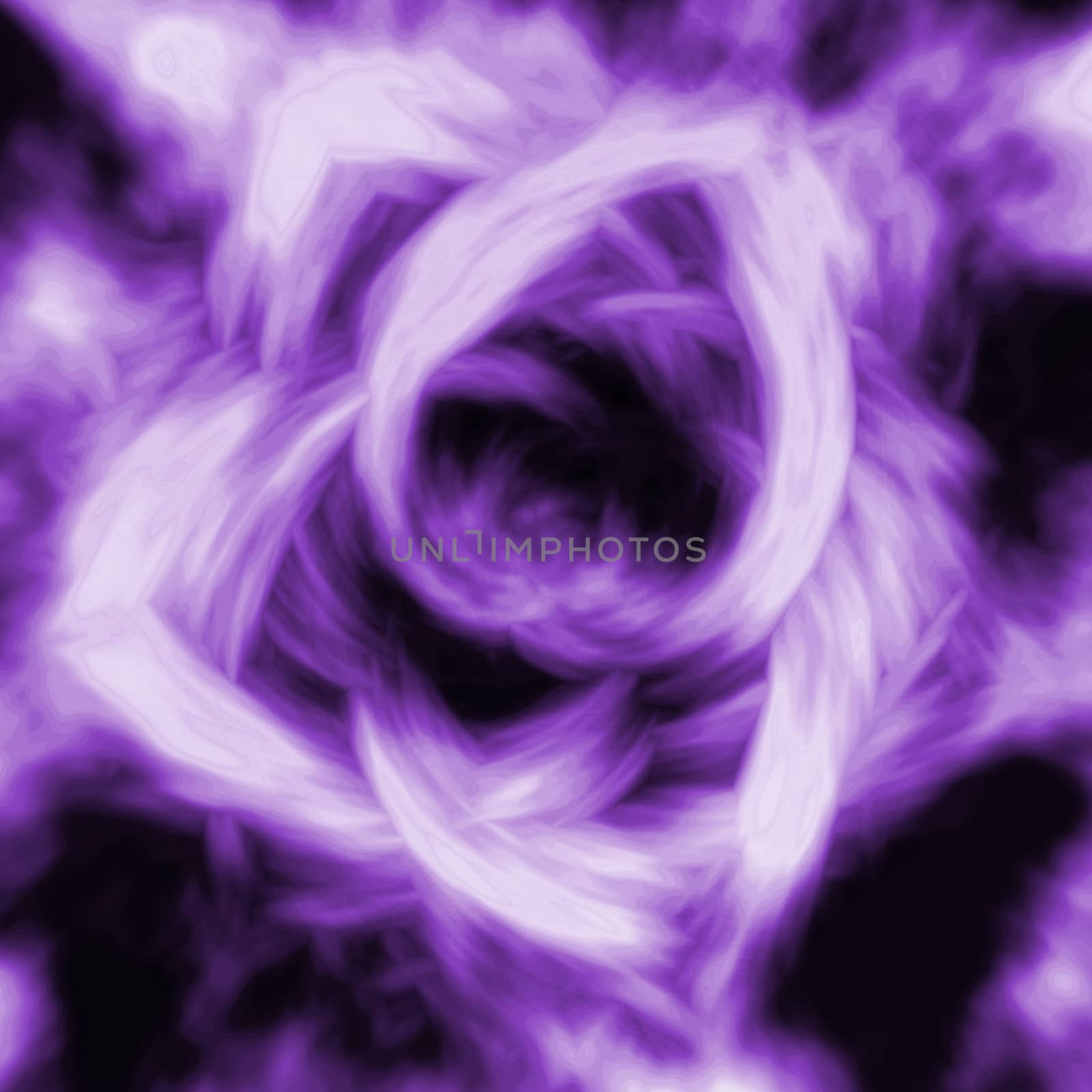 abstract rose flower background, beautiful banner wallpaper design illustration 