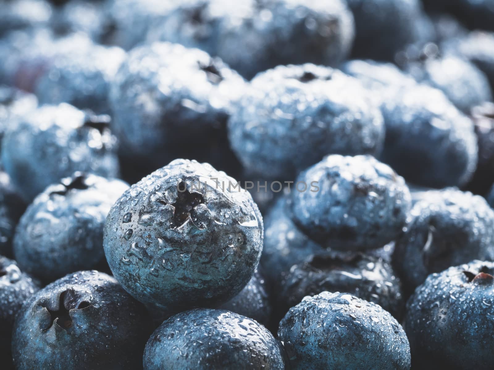 Extreme close up view of blueberries. Selective focus. Copy space. Bilberry on wooden Background. Blueberry antioxidant. Concept for healthy eating and nutrition