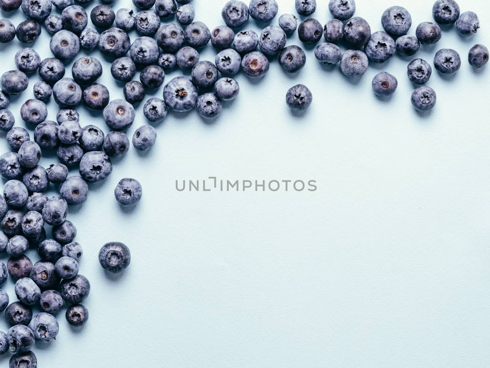 Blueberries on blue background. Blueberry border design. Fresh picked bilberries close up. Copyspace. Top view or flat lay