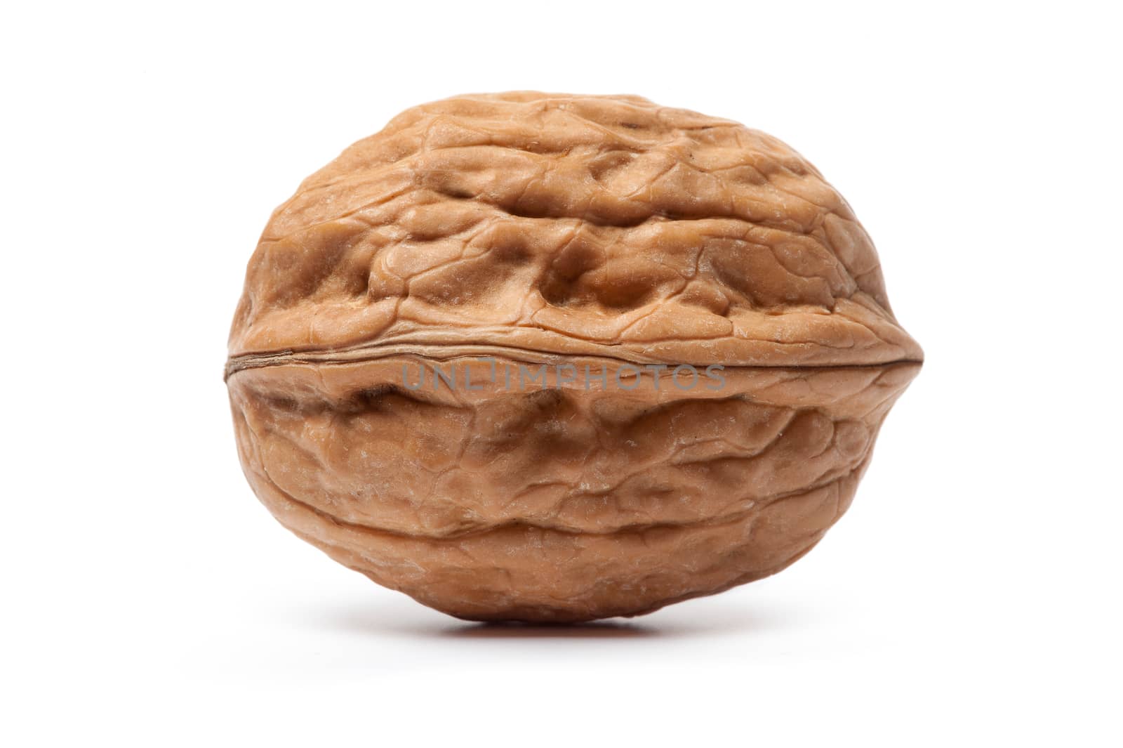 Single walnut isolated on a white background.