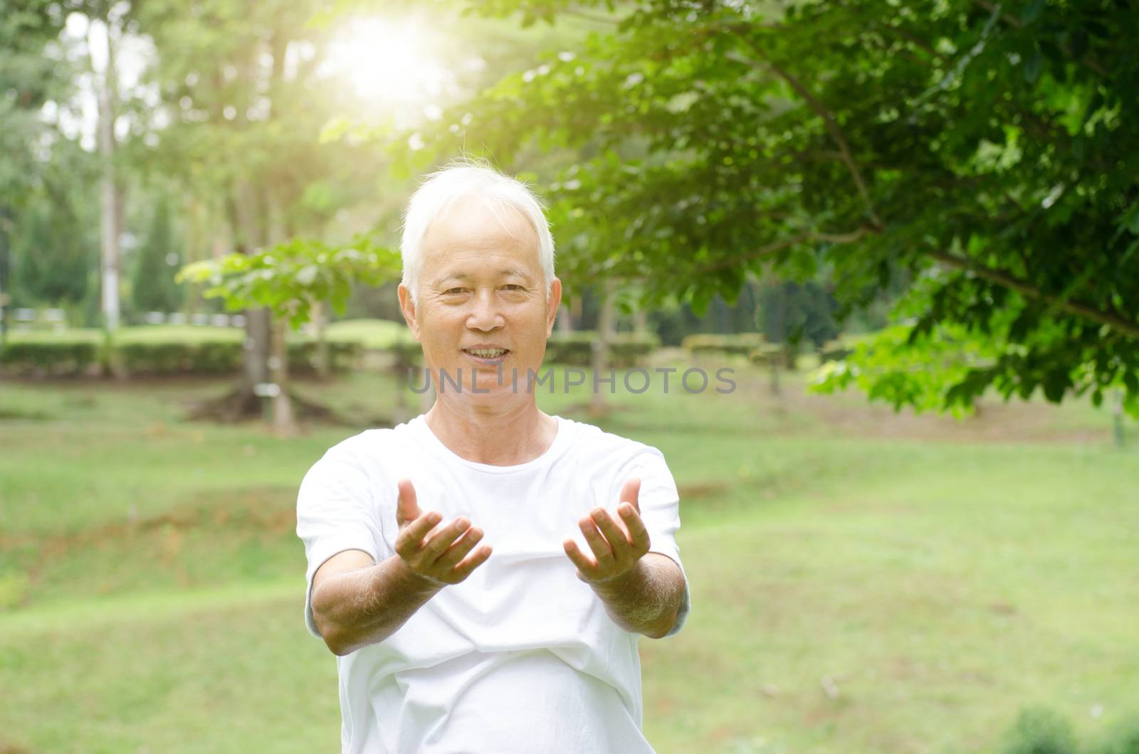 Senior man practicing qigong in the park  by szefei