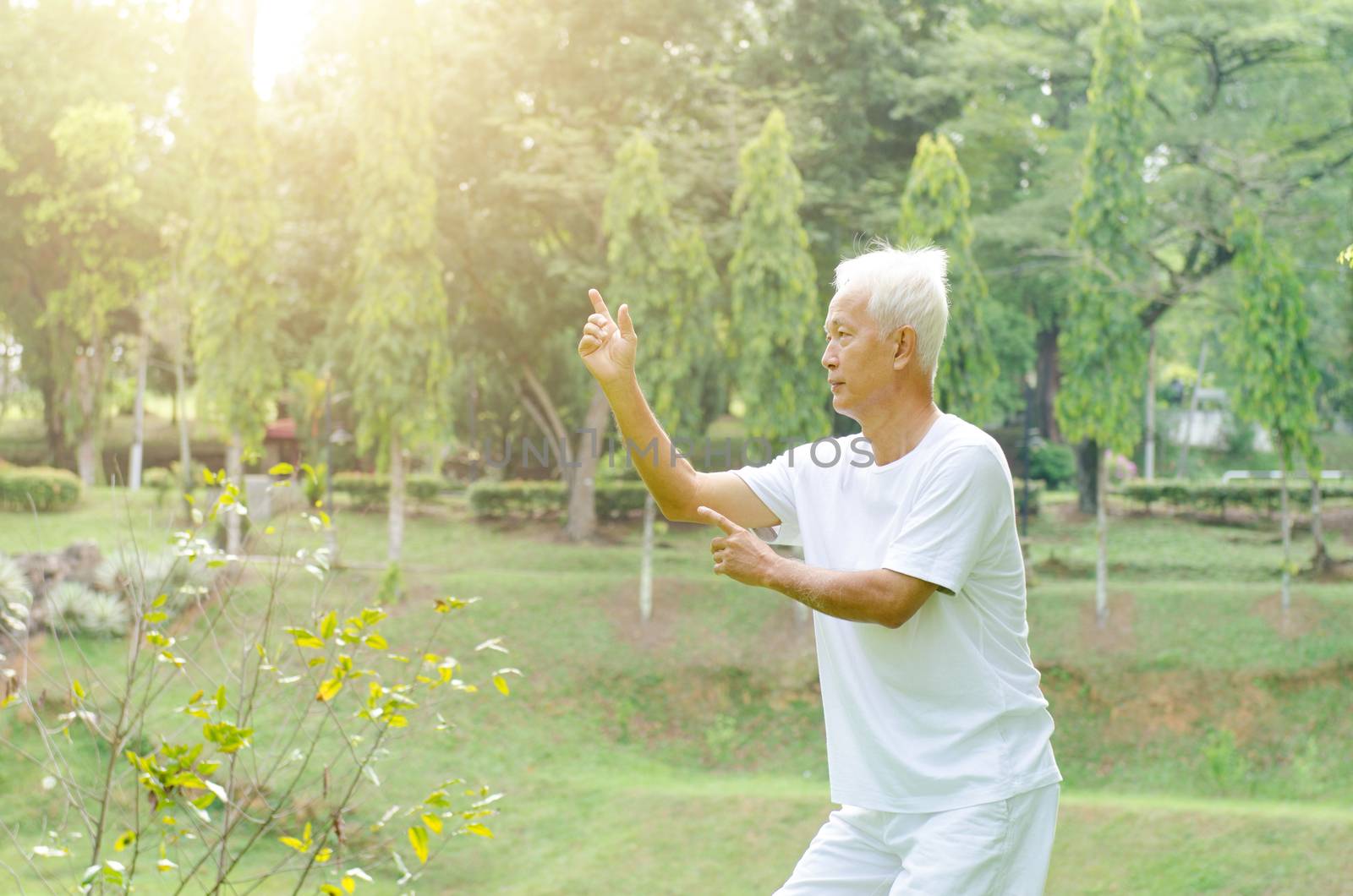 Portrait of healthy fitness grey hair Asian old man practicing tai chi at outdoor park in morning.