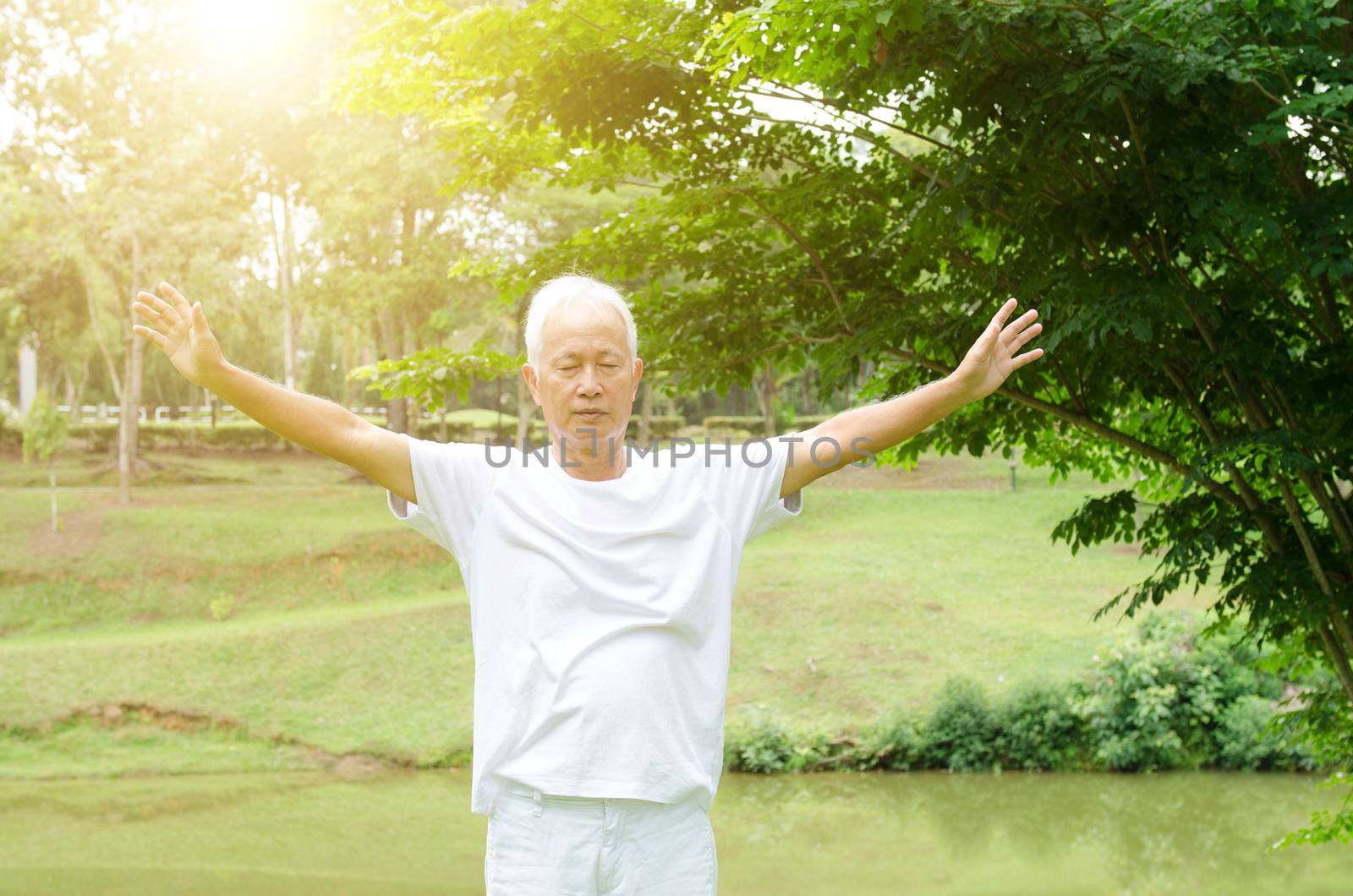 Portrait of fitness grey hair Asian senior man practicing tai chi at outdoor park in morning.