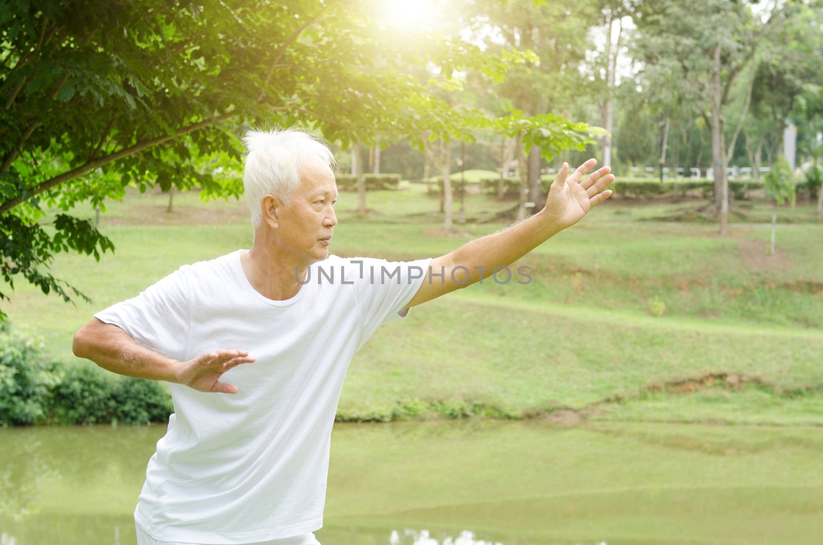 Portrait of healthy white hair Asian senior man practicing martial arts at outdoor park in morning.