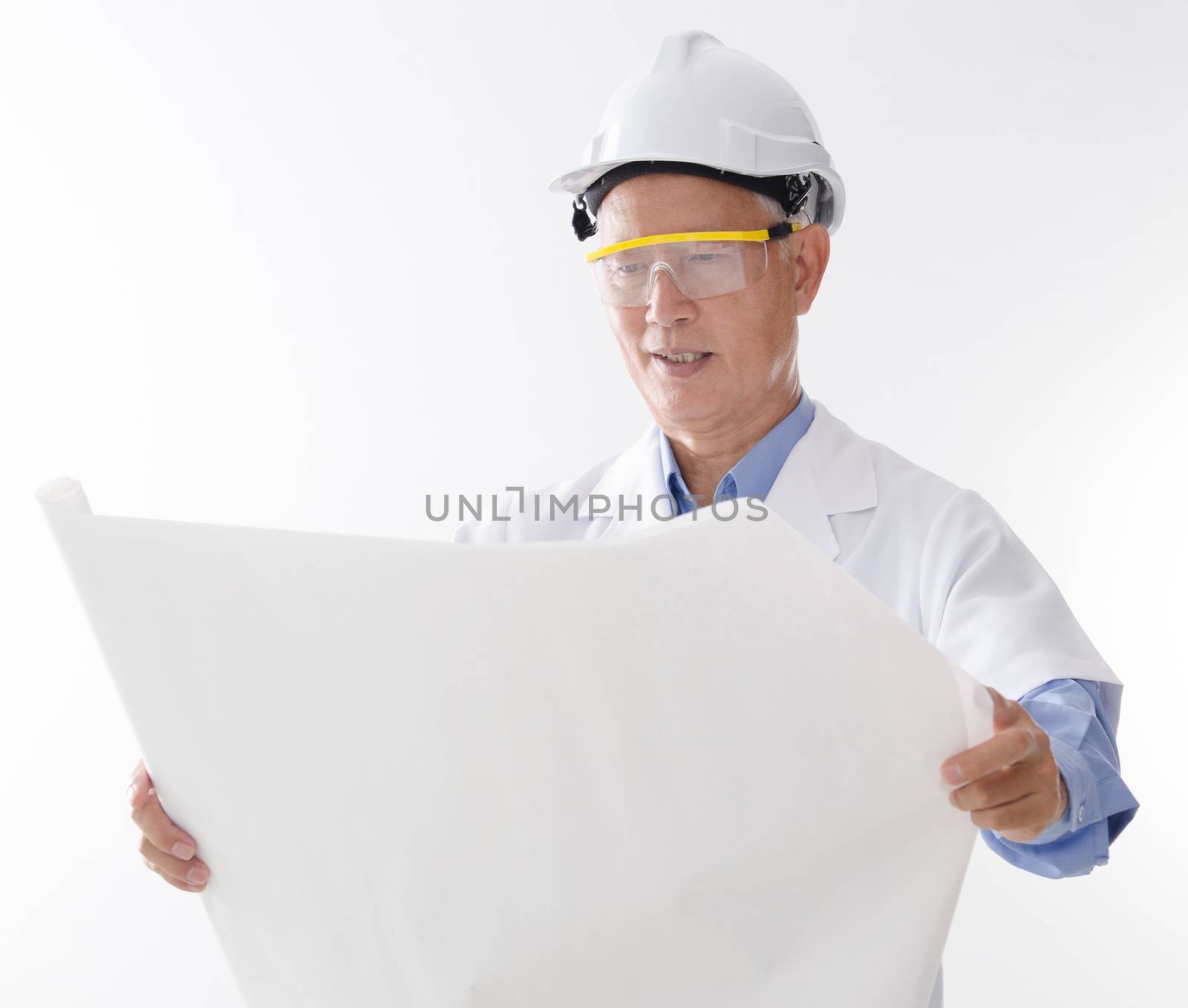Portrait of Asian contractor with hard hat reading on blueprint, standing isolated on white background.