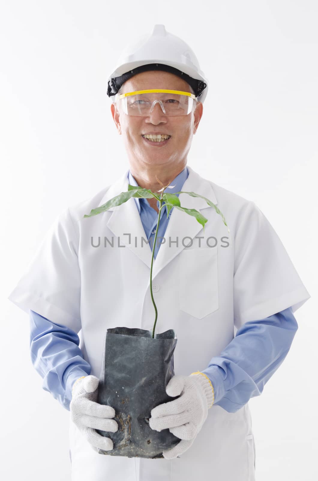 Portrait of Asian scientist in uniform hand holding plant seedling, standing isolated on white background.