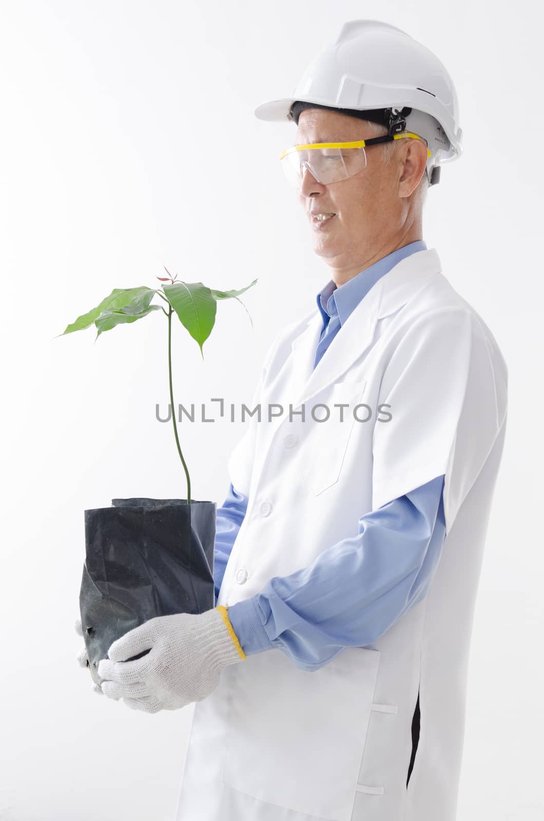 Asian scientist holding plant by szefei