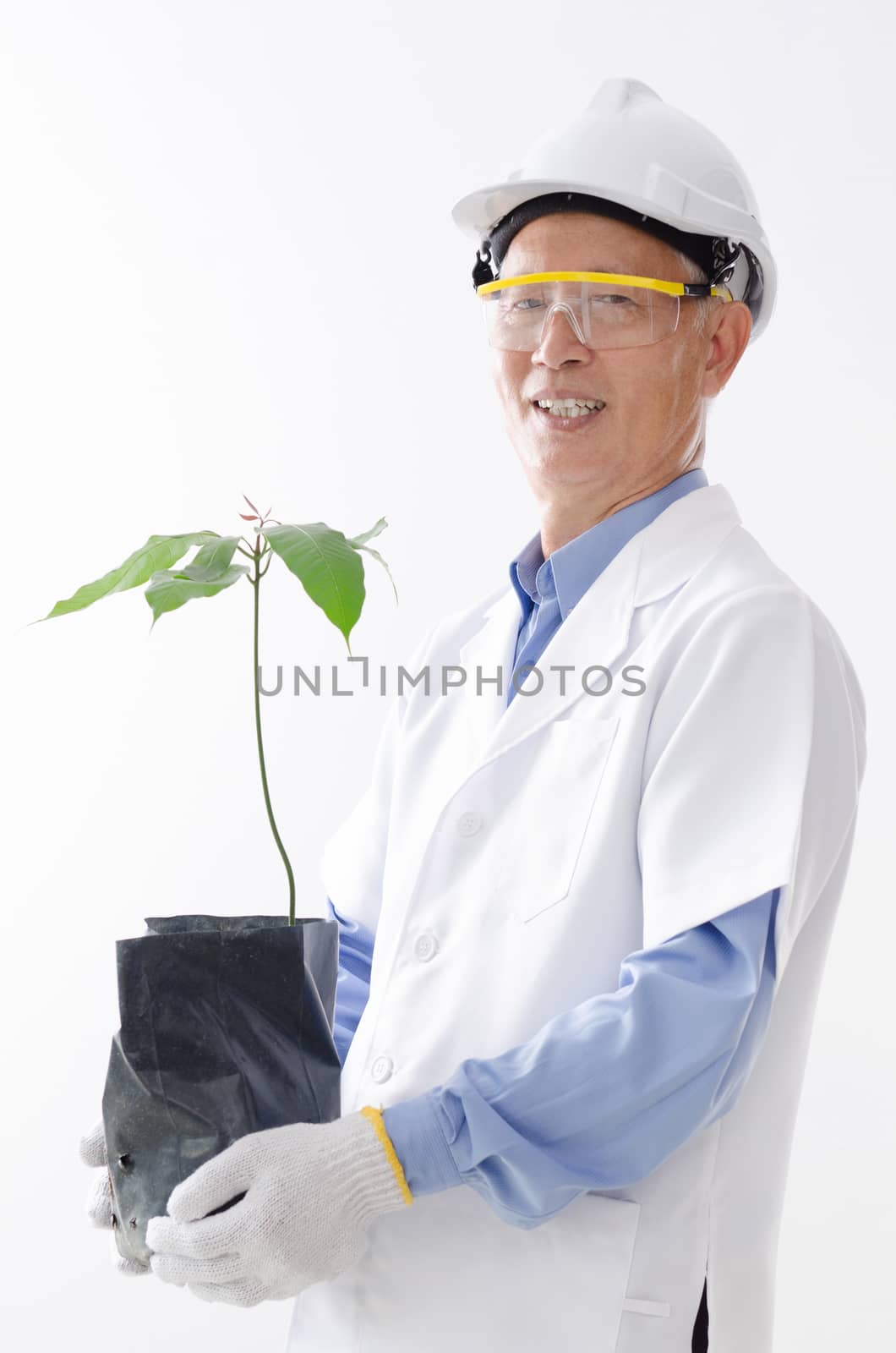 Portrait of Asian scientist in uniform with hard hat, holding plant seedling, standing isolated on white background.