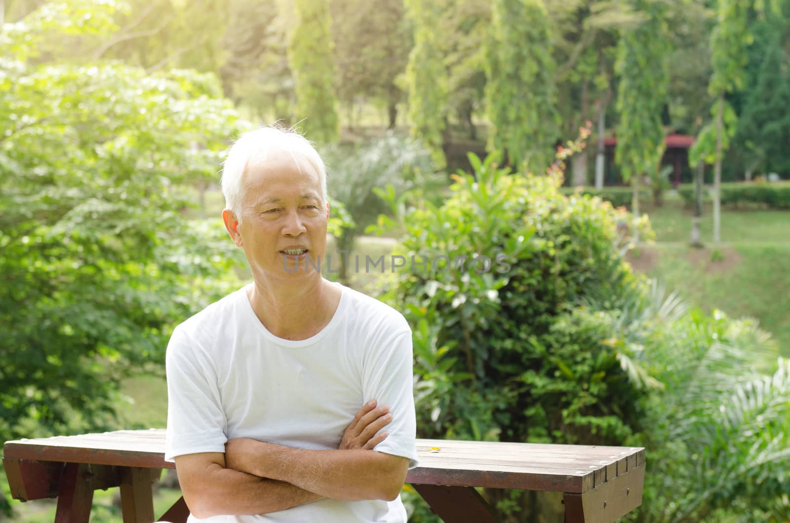 Portrait of white hair Asian senior man smiling, sitting at outdoor park in morning. 