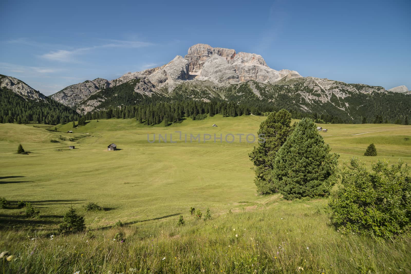 Panoramic view of Alps mountains  by AlessandroZocc