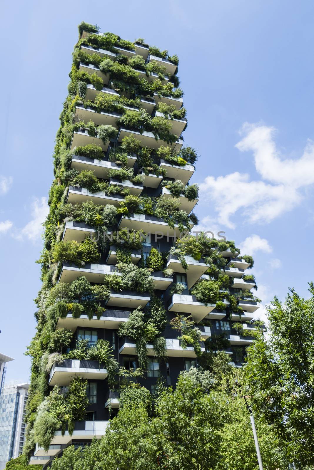 The Vertical Wood buildings in Milan. by AlessandroZocc