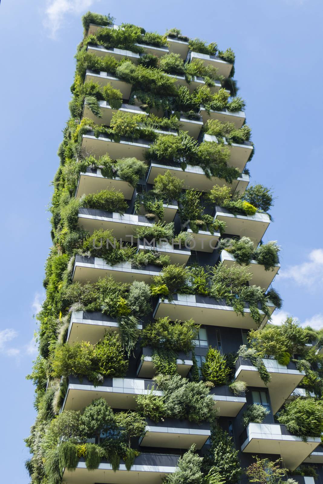 Modern, futuristic buildings named Vertical Wood in Mian.