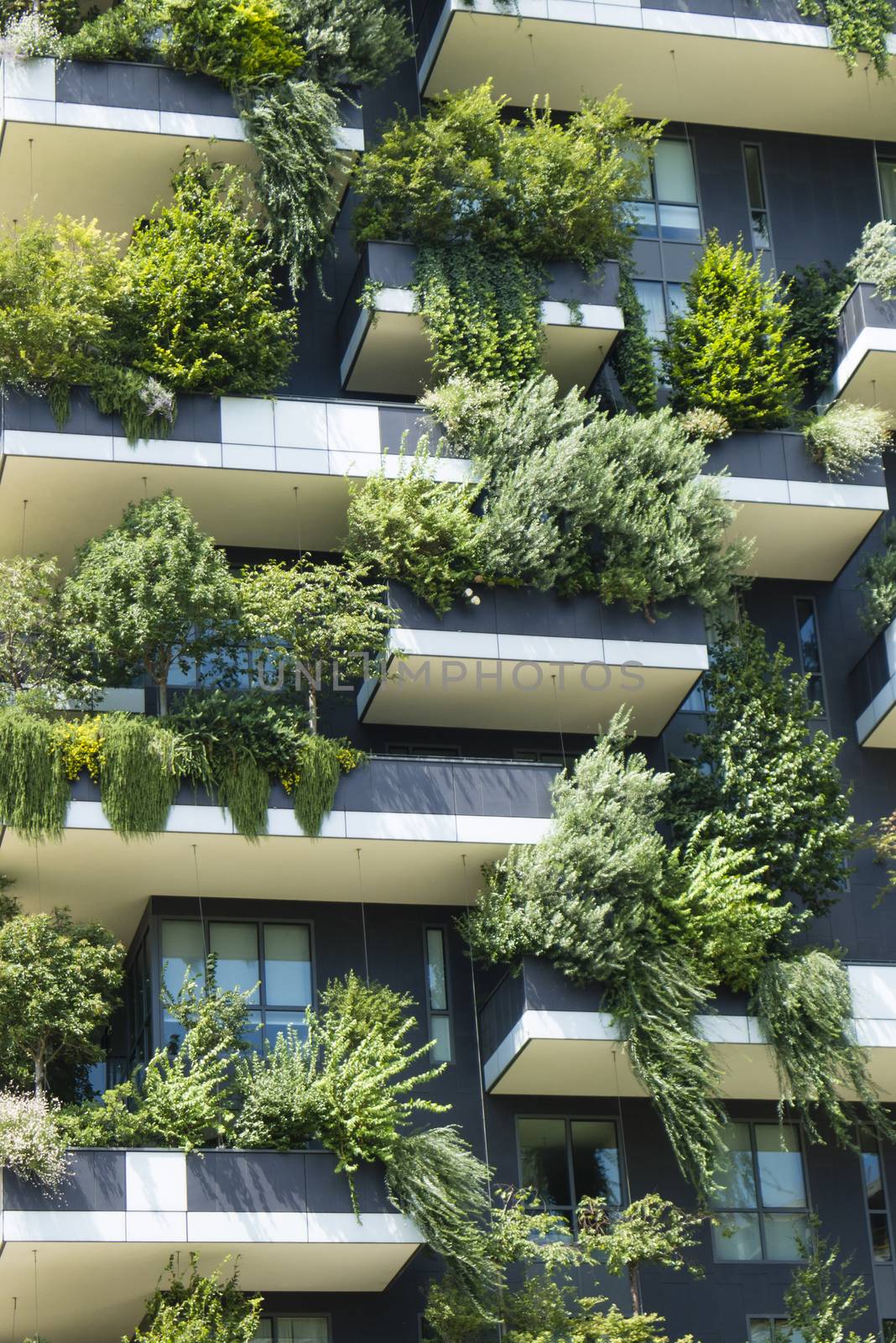 The Vertical Wood buildings in Milan. by AlessandroZocc