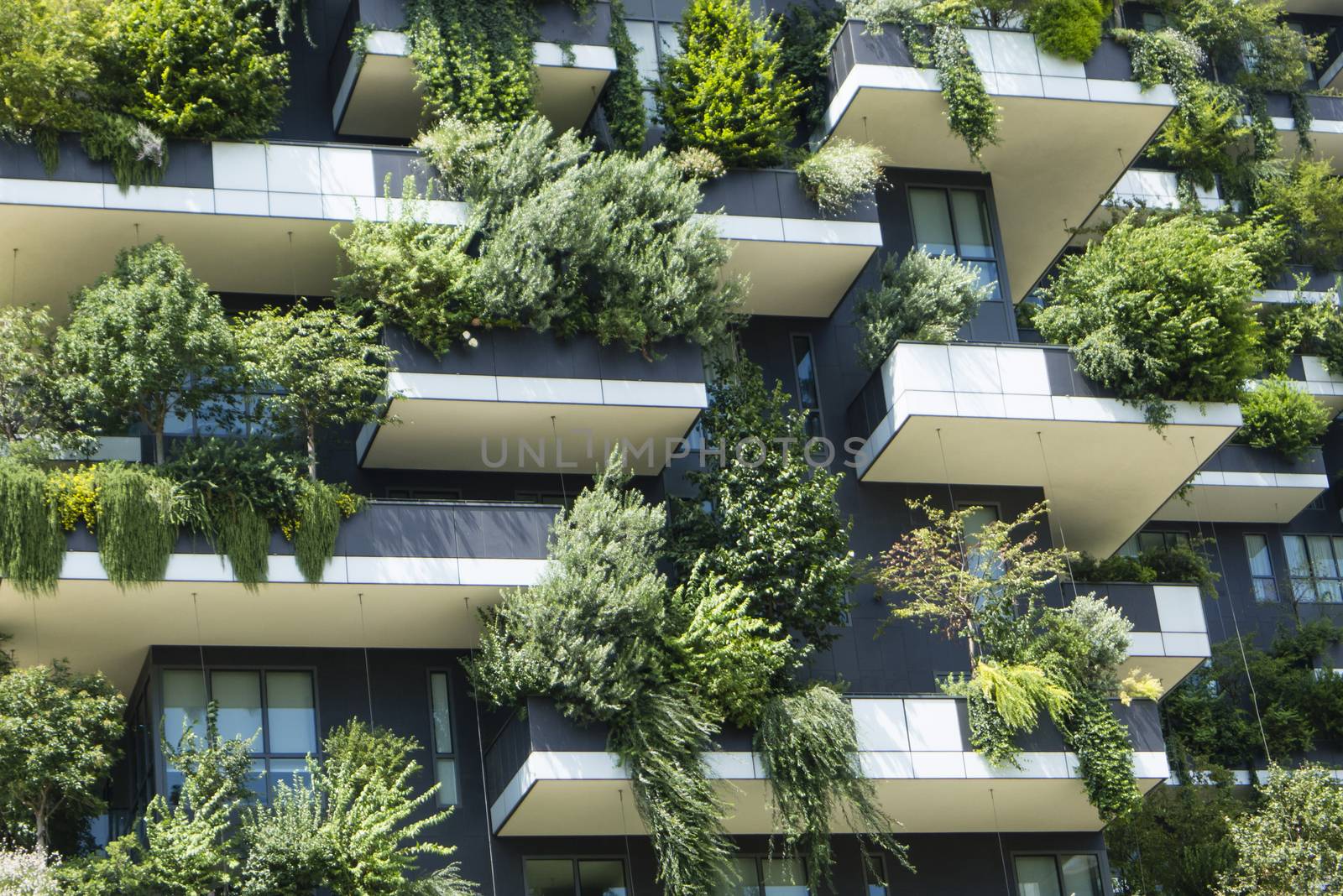 The Vertical Wood buildings in Milan. by AlessandroZocc