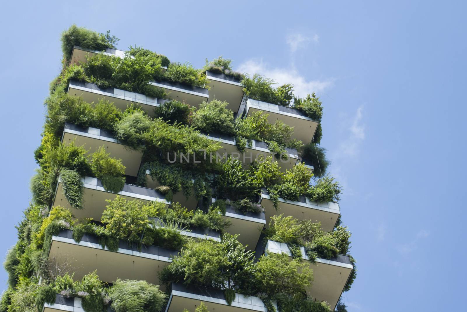 The Vertical Wood buildings in Milan. by AlessandroZocc