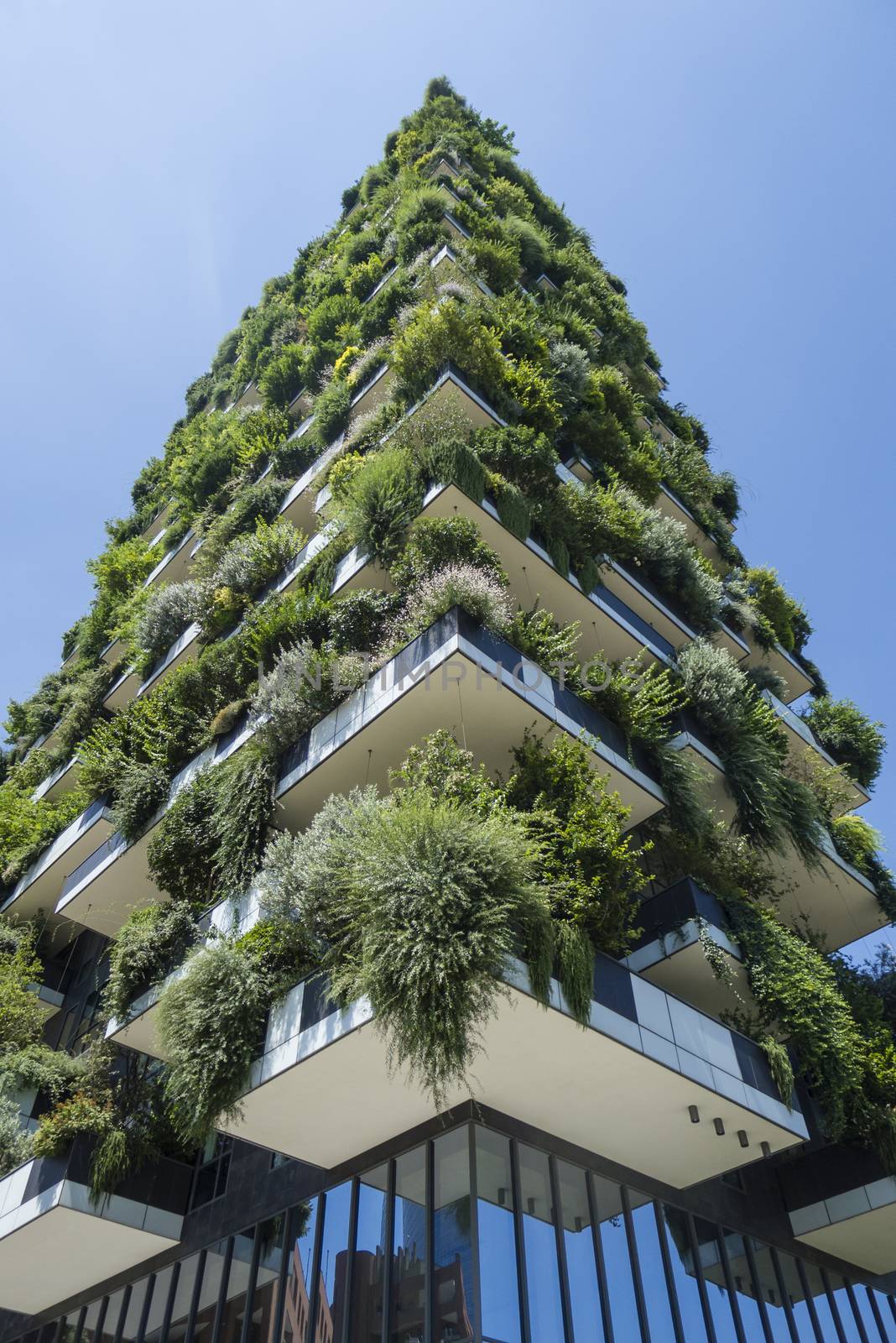 Modern, futuristic buildings named Vertical Wood in Mian.