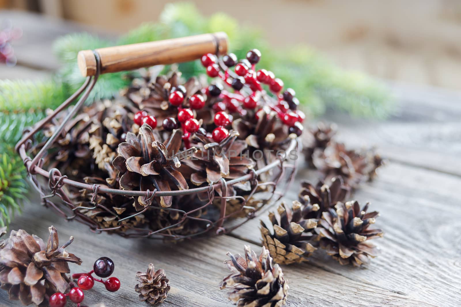 Christmas concept: full basket of pine cones and red holly berries and spruce branches on the background of old unpainted wooden boards. Christmas wallpaper