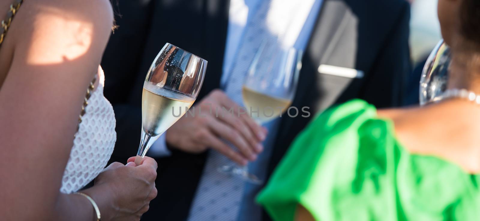 Happy friends with glasses of champagne, luxury diner