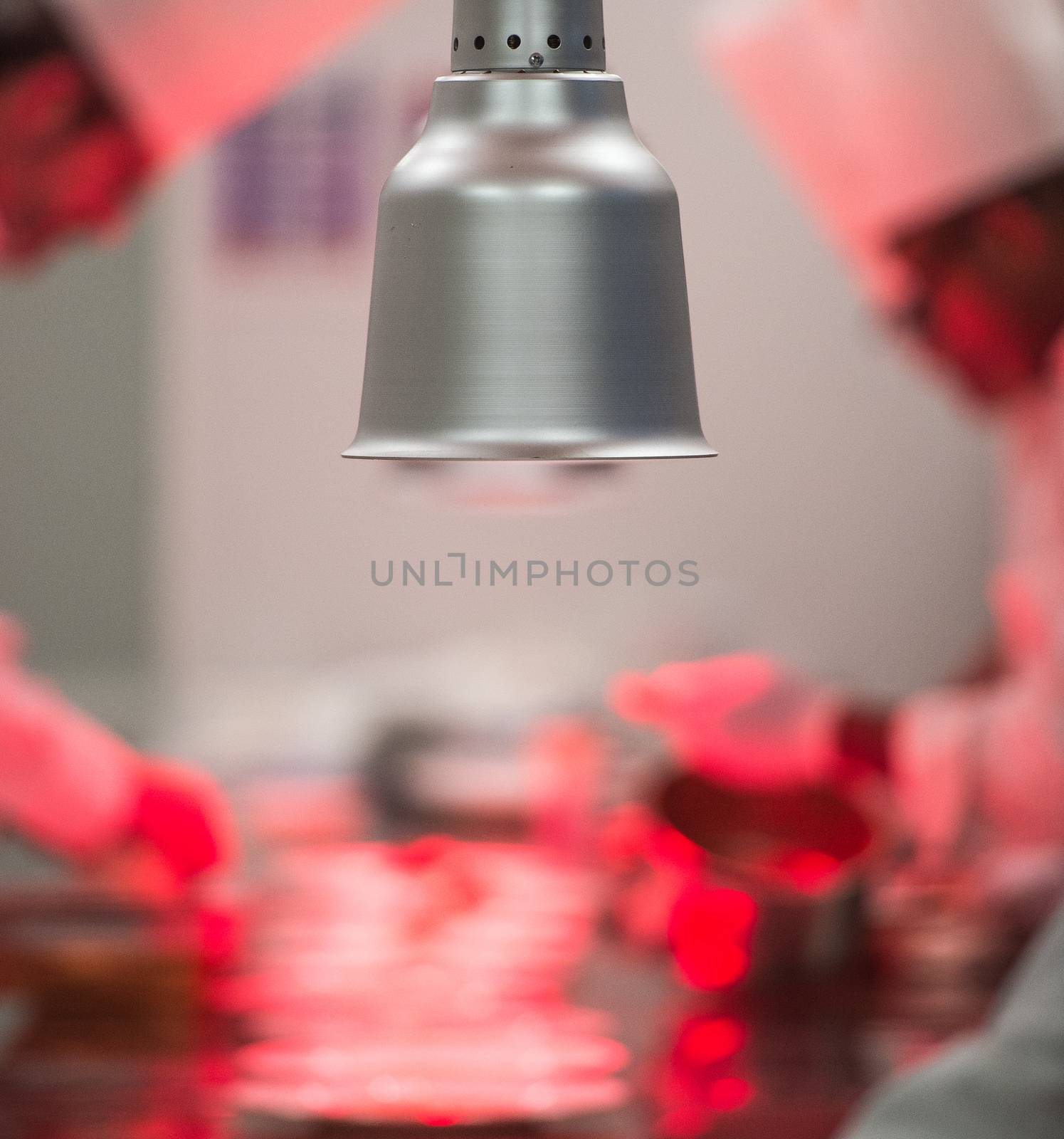 Team Chefs in luxury hotel restaurant kitchen cooking,