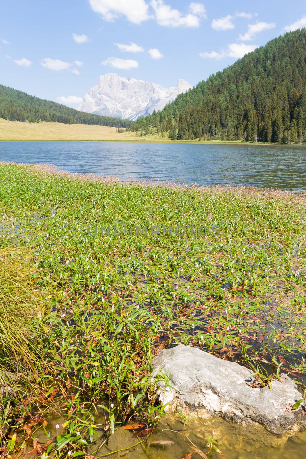 Beautiful alpine panorama, group Pala of dolomites from Calaita lake, Italian landscape