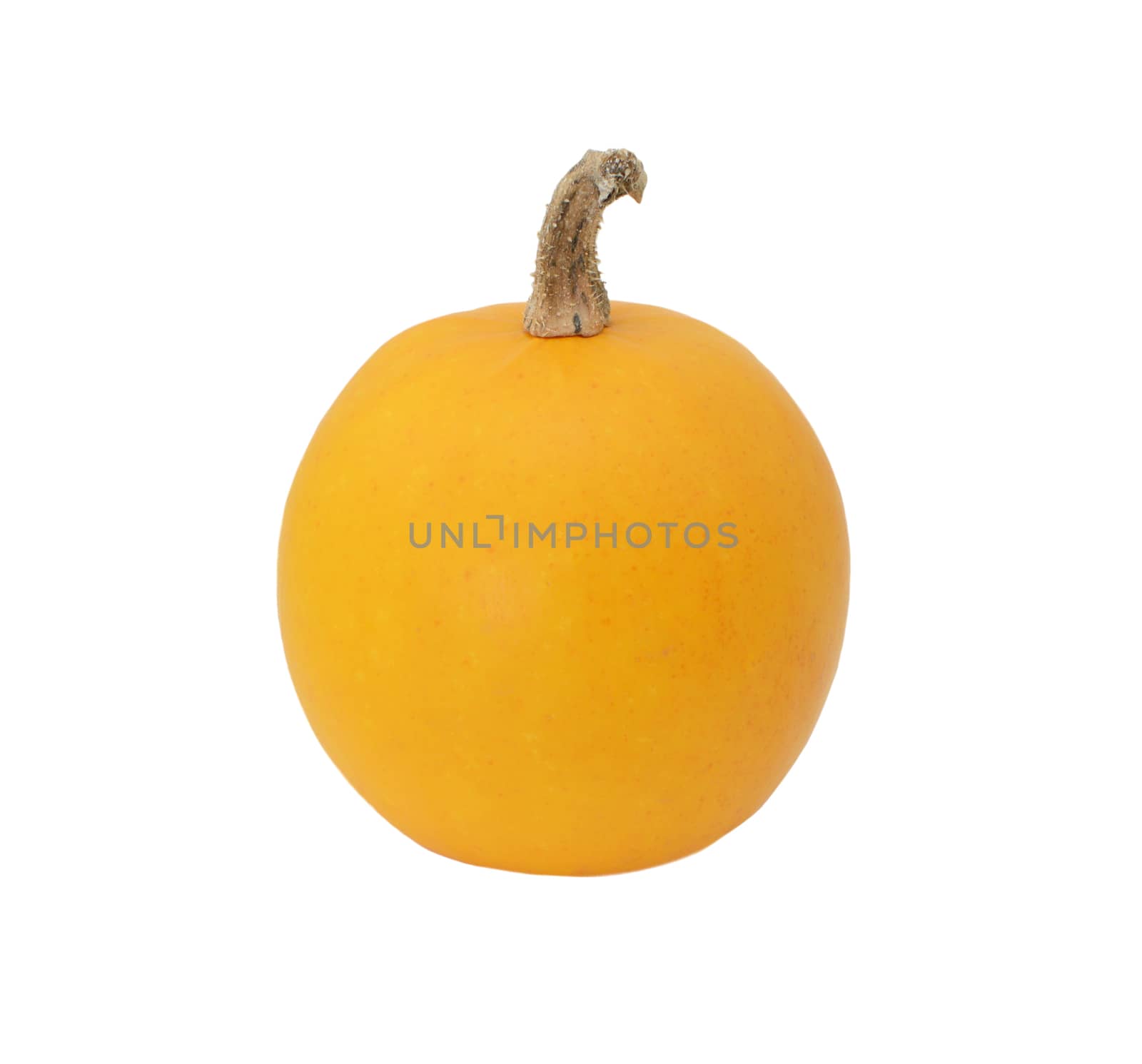 Smooth-skinned orange ornamental gourd, isolated on a white background