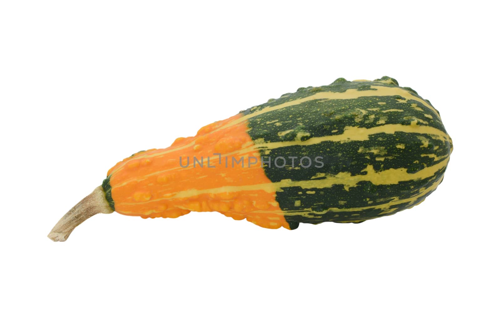 Pear-shaped ornamental gourd with bold orange and green stripes, isolated on a white background