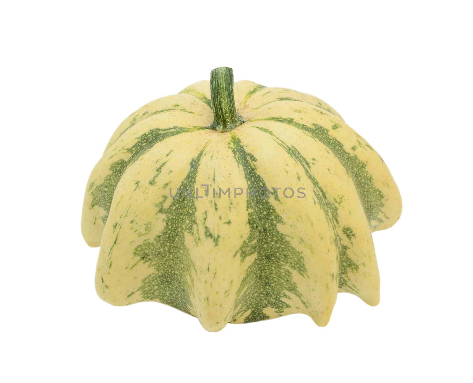 Cream Crown of Thorns ornamental gourd with green stripes, upturned showing a spiky stalk, isolated on a white background