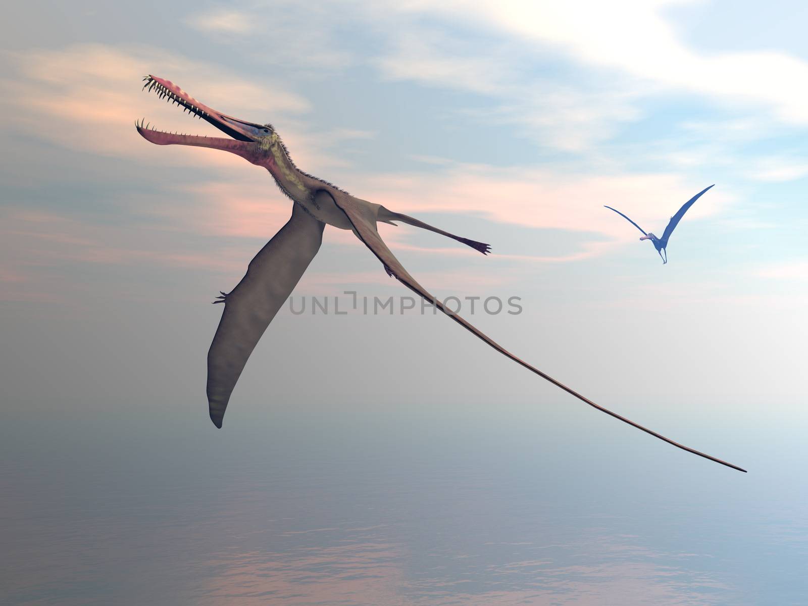 Anhanguera prehistoric birds - 3D render by Elenaphotos21