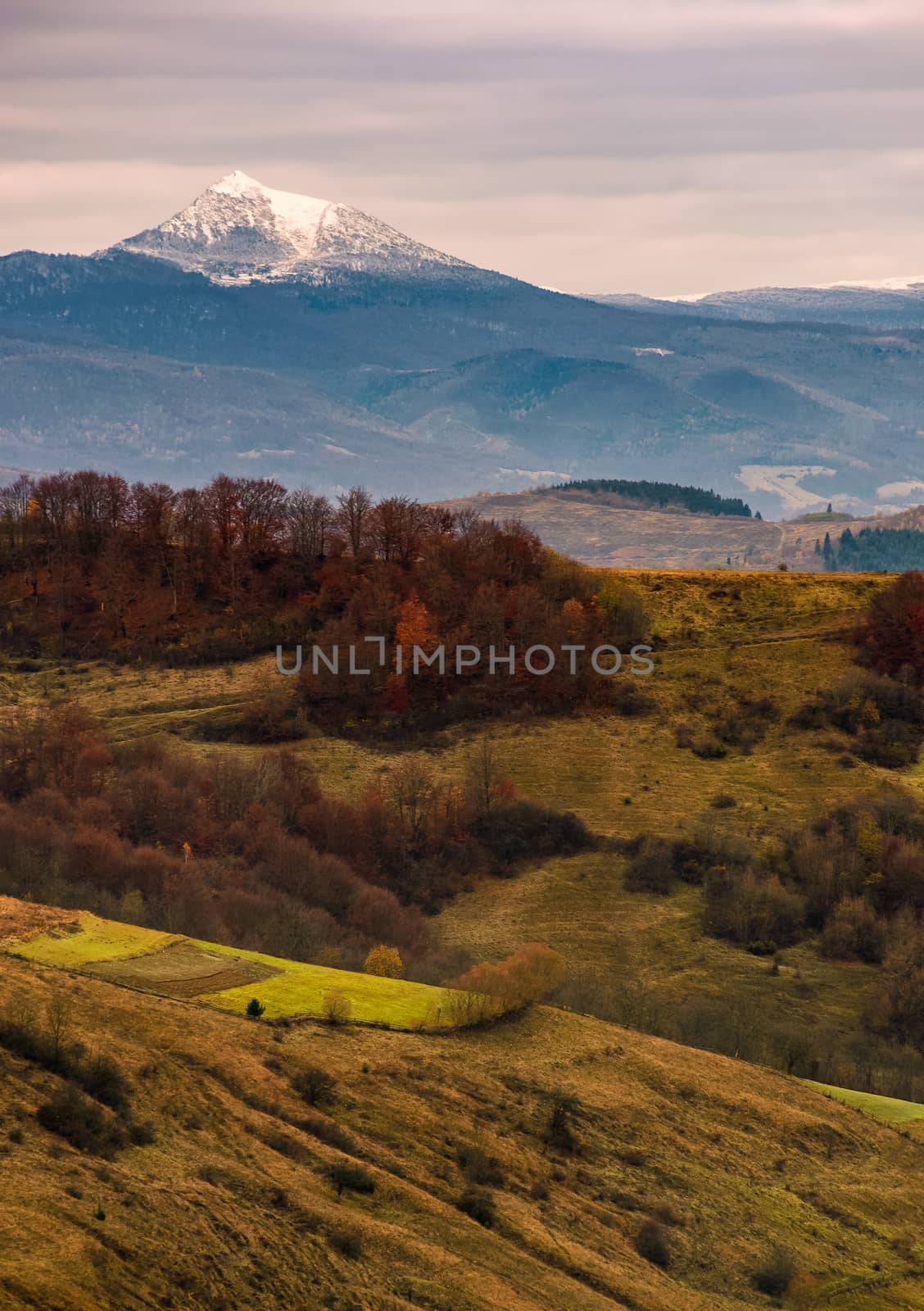 snowy peak behind the rolling hills in autumn by Pellinni