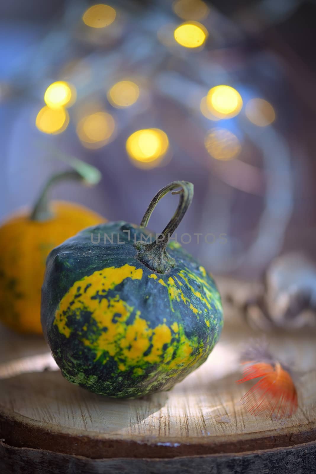 Autumn decoration with small pumpkins by mady70