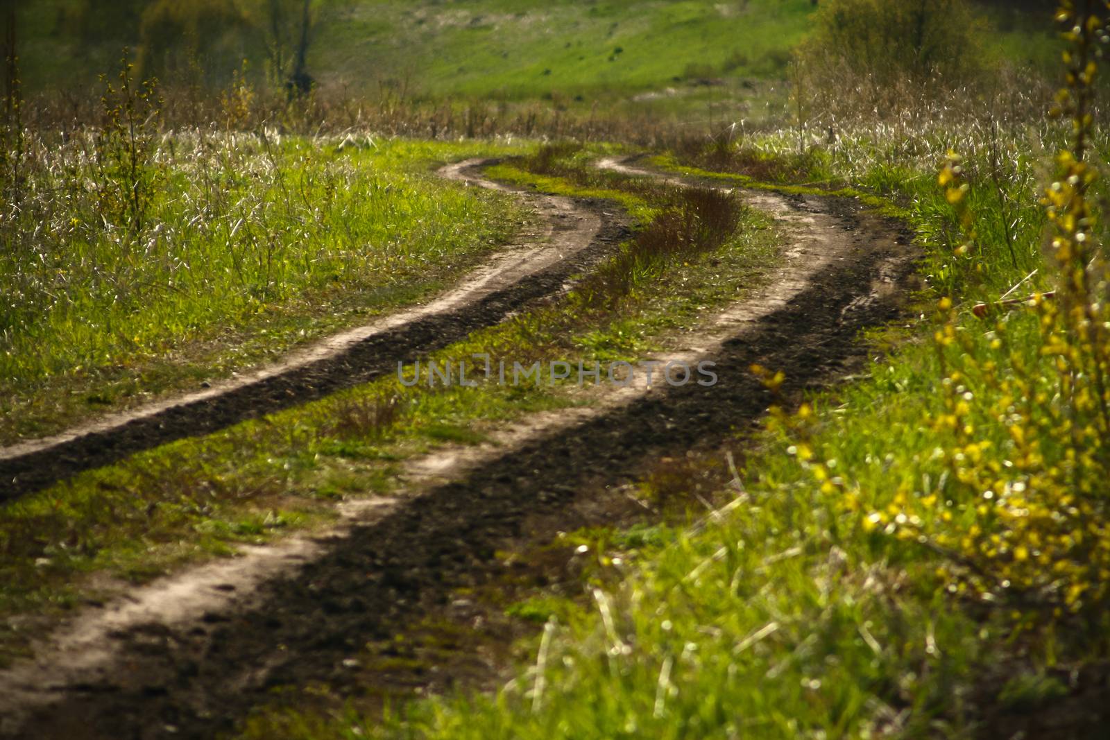 Mountain spring road in nature . Selective focus