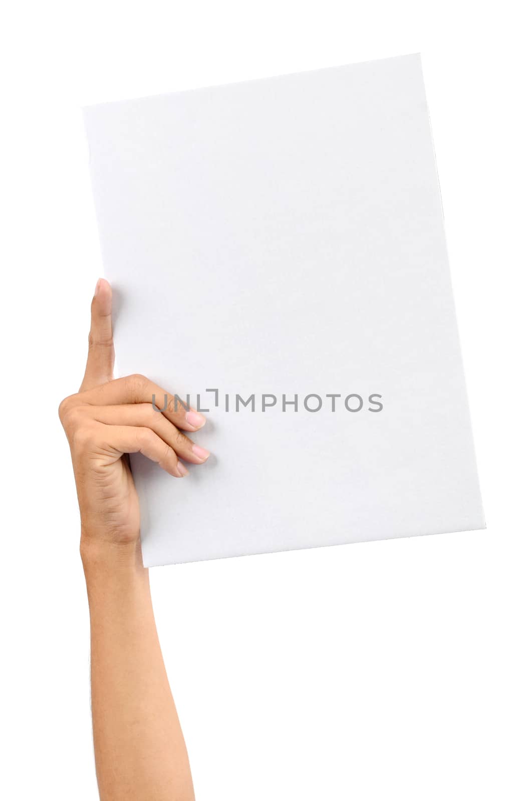 Hand holding white blank paper card, isolated on plain background.