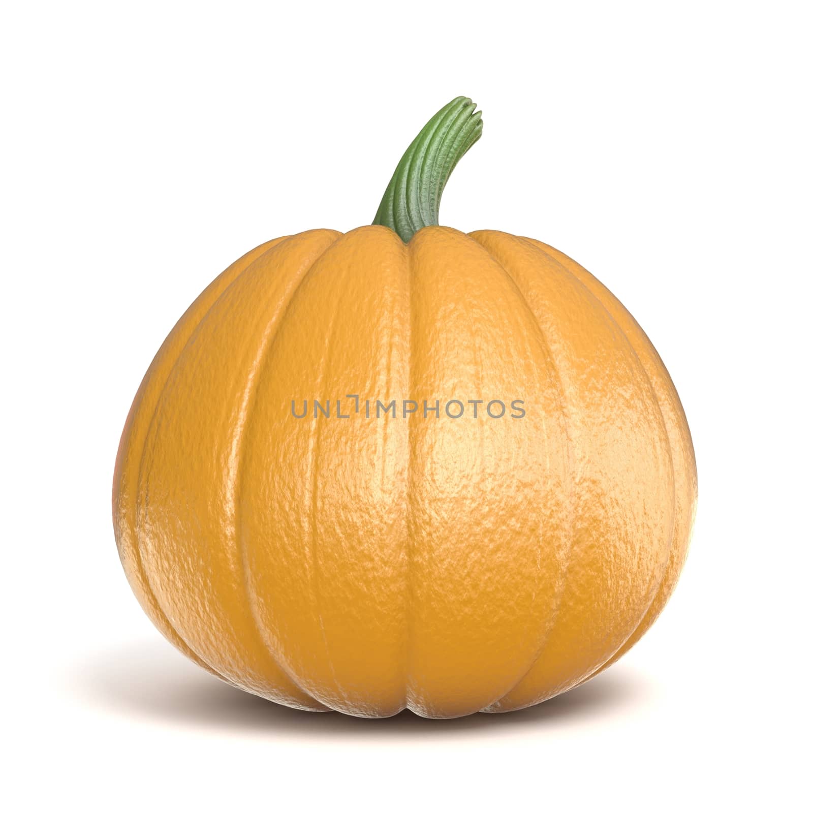 Pumpkin 3D render illustration isolated on white background
