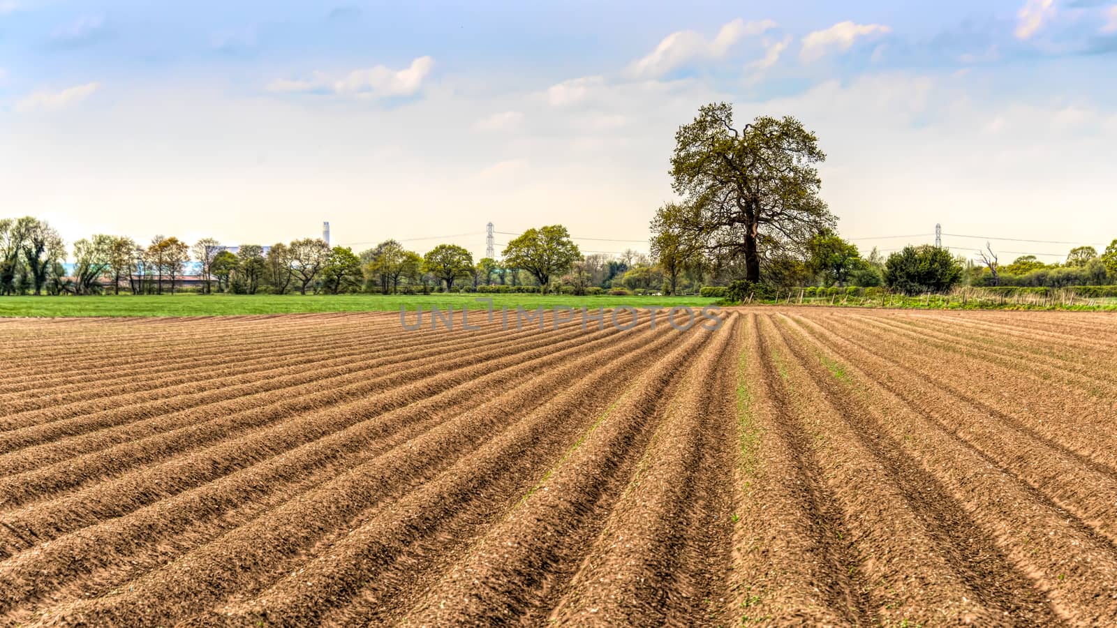 Agricultural landscape by alan_tunnicliffe