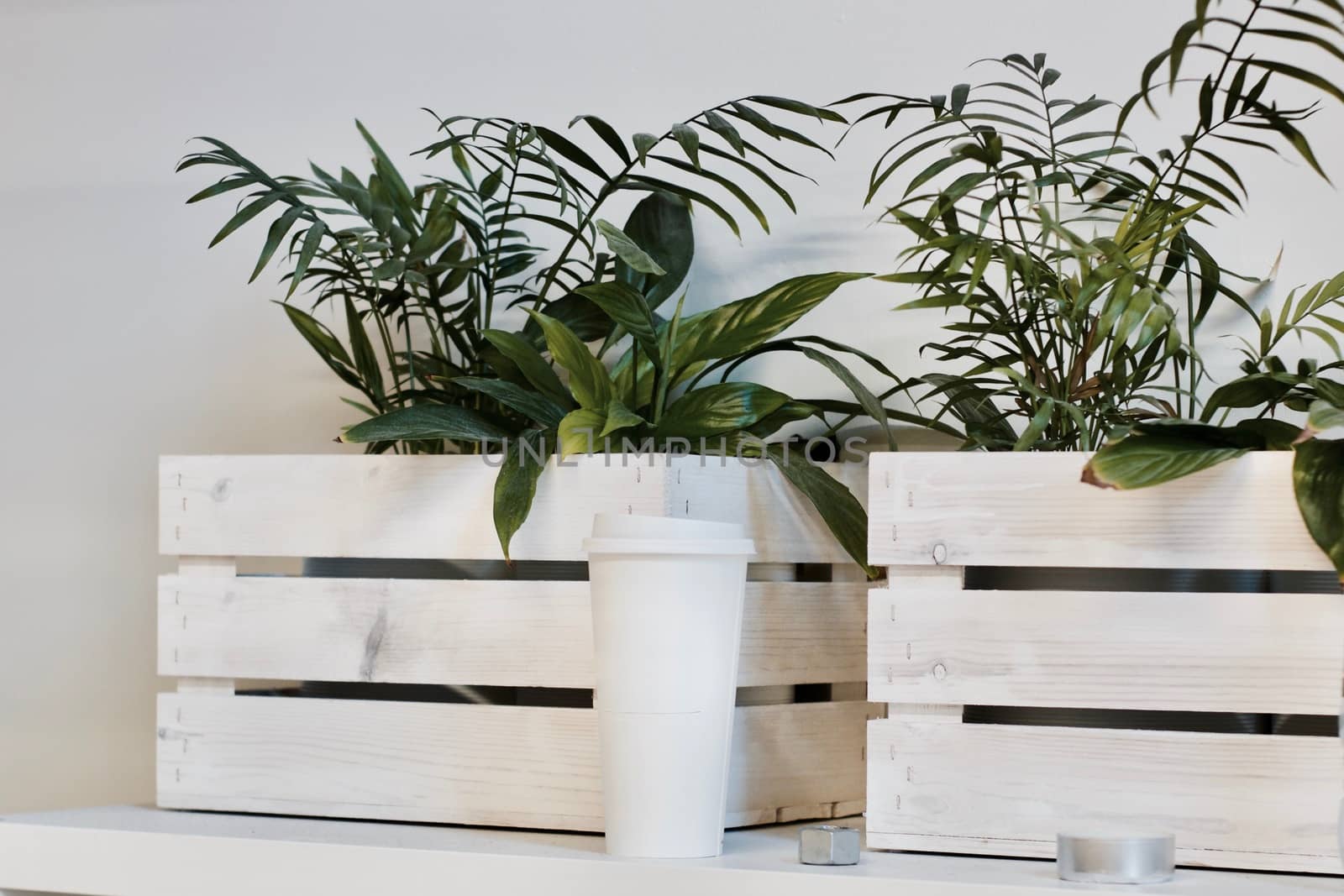 White large coffee cup near wooden crate with green beautiful flowers.