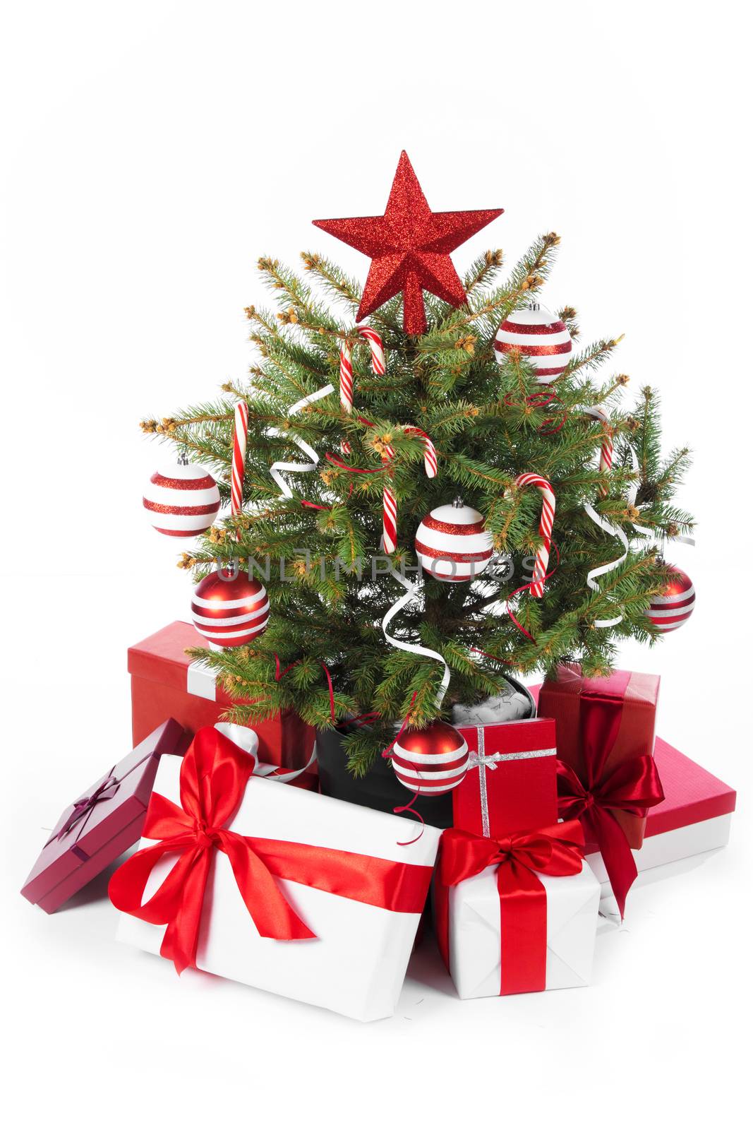 Decorated christmas tree and gifts isolated on white background