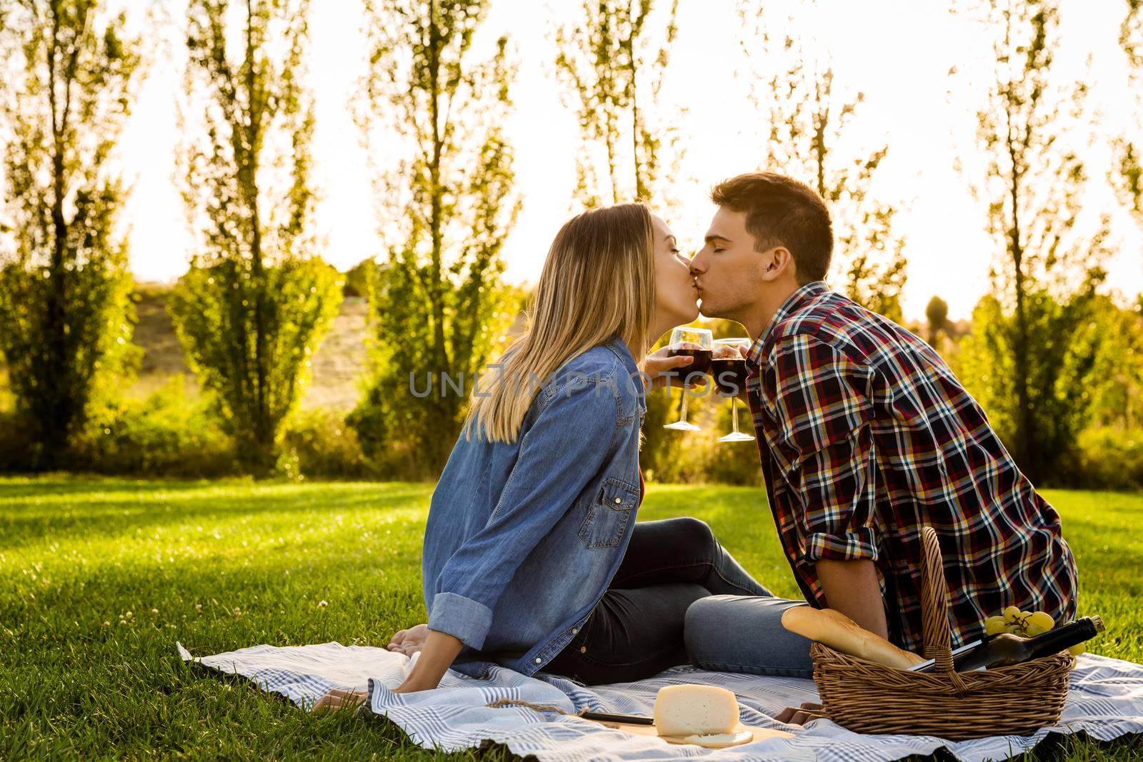 Shot of a happy couple in love making a toast