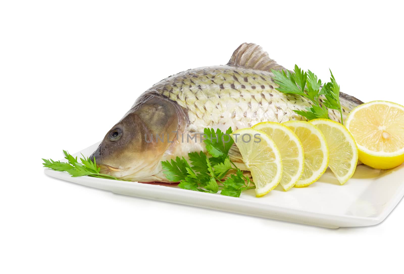 Fragment of the white square dish with carp with peeled scales and prepared for cooking, parsley twigs and lemon slices on a white background
