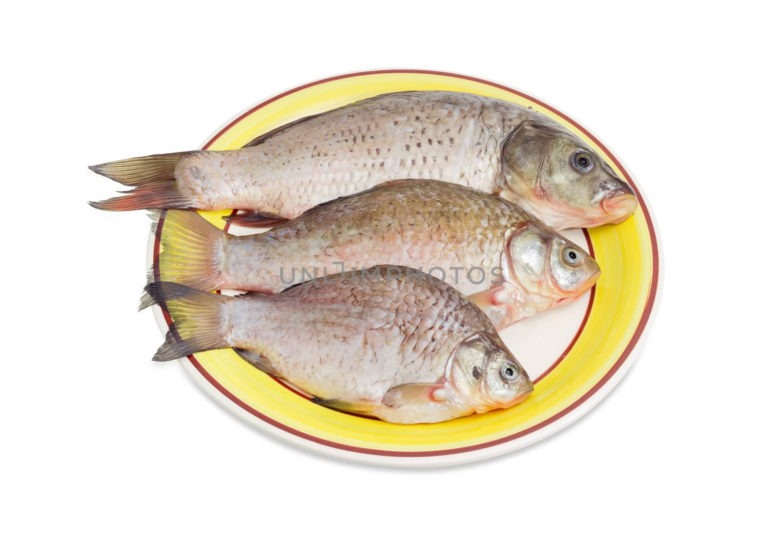 One carp and two crucian carps different sizes with peeled scales and prepared for cooking on a yellow dish on a white background
