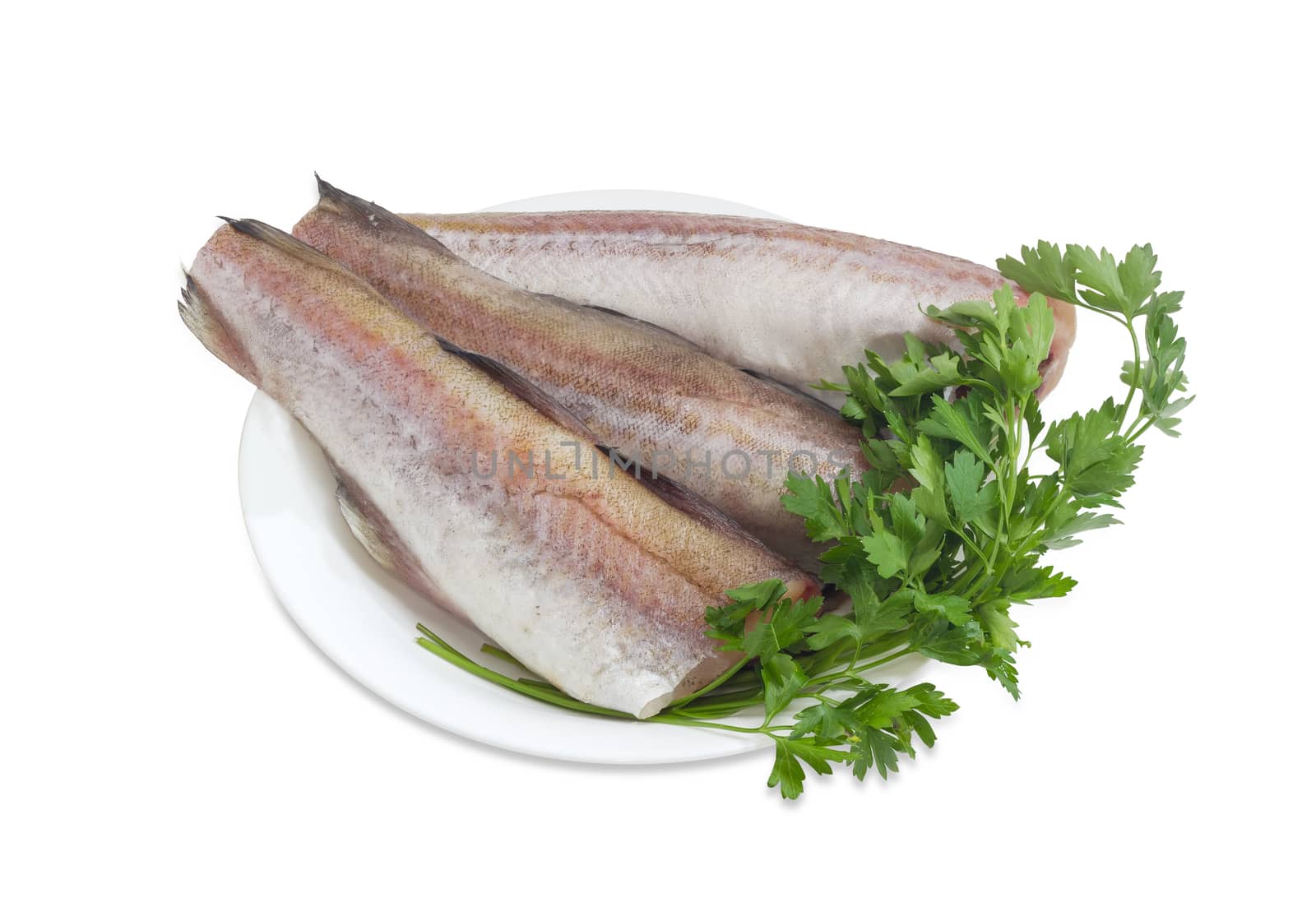 Three uncooked carcasses of the Alaska pollock without of head and tail and bundle of parsley on a white dish on a white background
