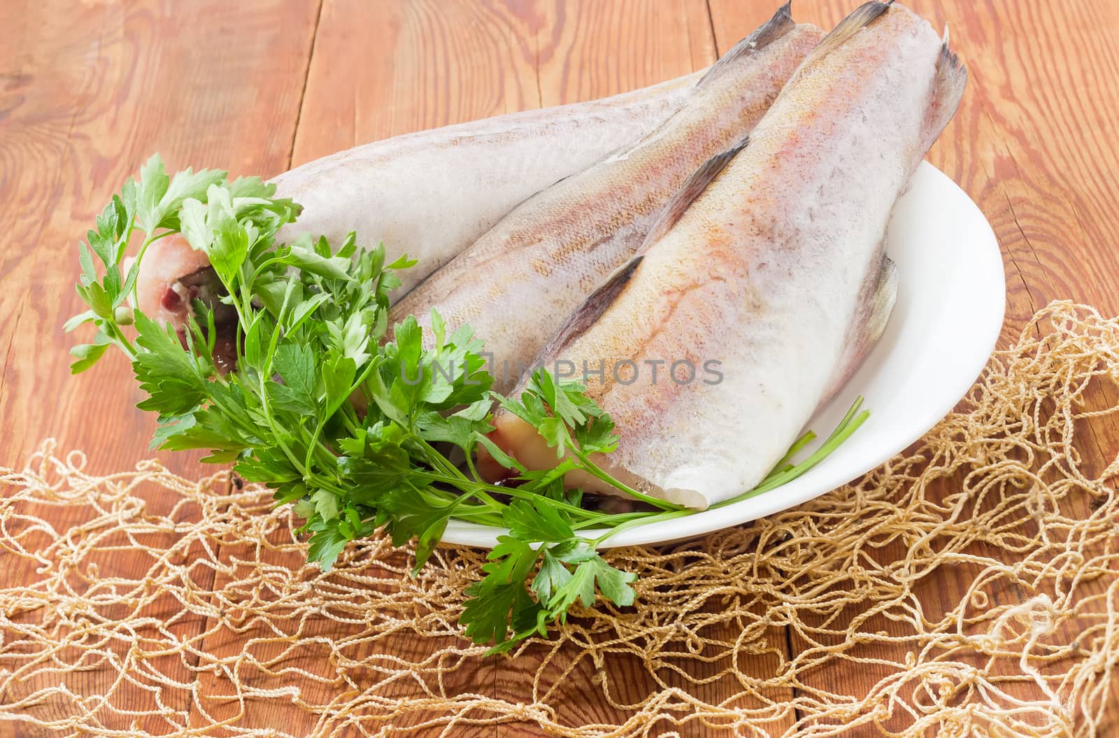 Three uncooked carcasses of the Alaska pollock without of head and tail and bundle of parsley on a white dish on a surface of old wooden planks with fishing net in foreground
